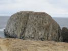 PICTURES/Oregon Coast Road - Seal Rock State Park/t_IMG_6411.jpg